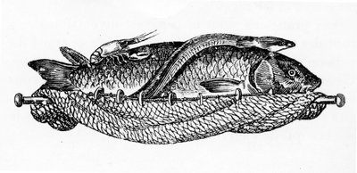 Vignette pour le chapitre XIX, page 262 de 